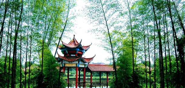 九江科技职业大学 - 最美大学