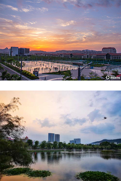 山东大学