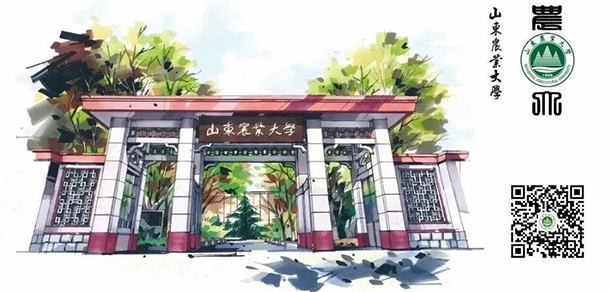 山东农业大学