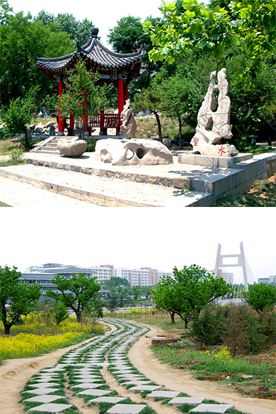 山东第一医科大学-流金岁月