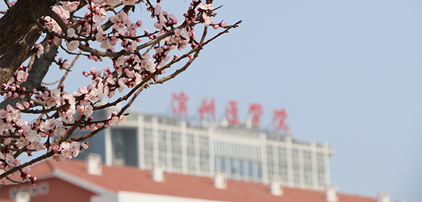 滨州医学院