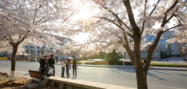 中国海洋大学 - 最美大学