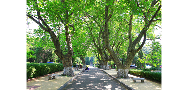 中国海洋大学 - 最美大学