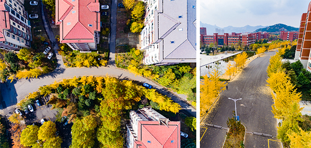 山东科技大学