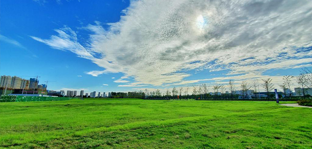 山东科技大学