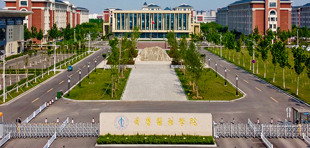 齐鲁医药学院