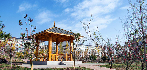 齐鲁医药学院 - 最美大学