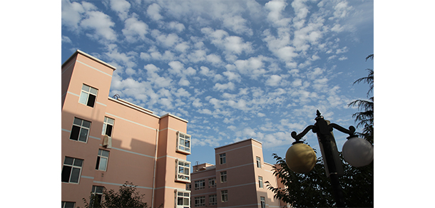 青岛科技大学 - 最美大学