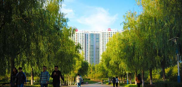 烟台理工学院 - 最美院校