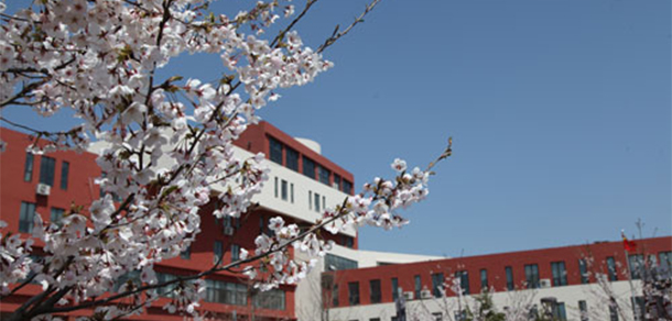 青岛电影学院 - 最美大学