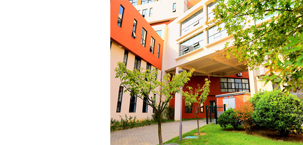 青岛电影学院 - 最美大学