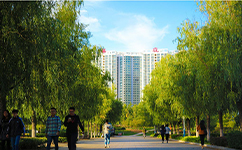 郑州经贸学院