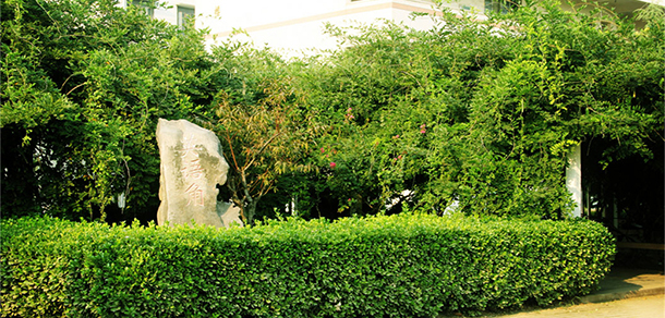 郑州健康学院 - 最美大学