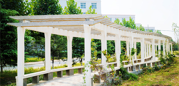 郑州健康学院 - 最美大学