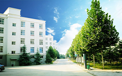 郑州健康学院 - 我的大学