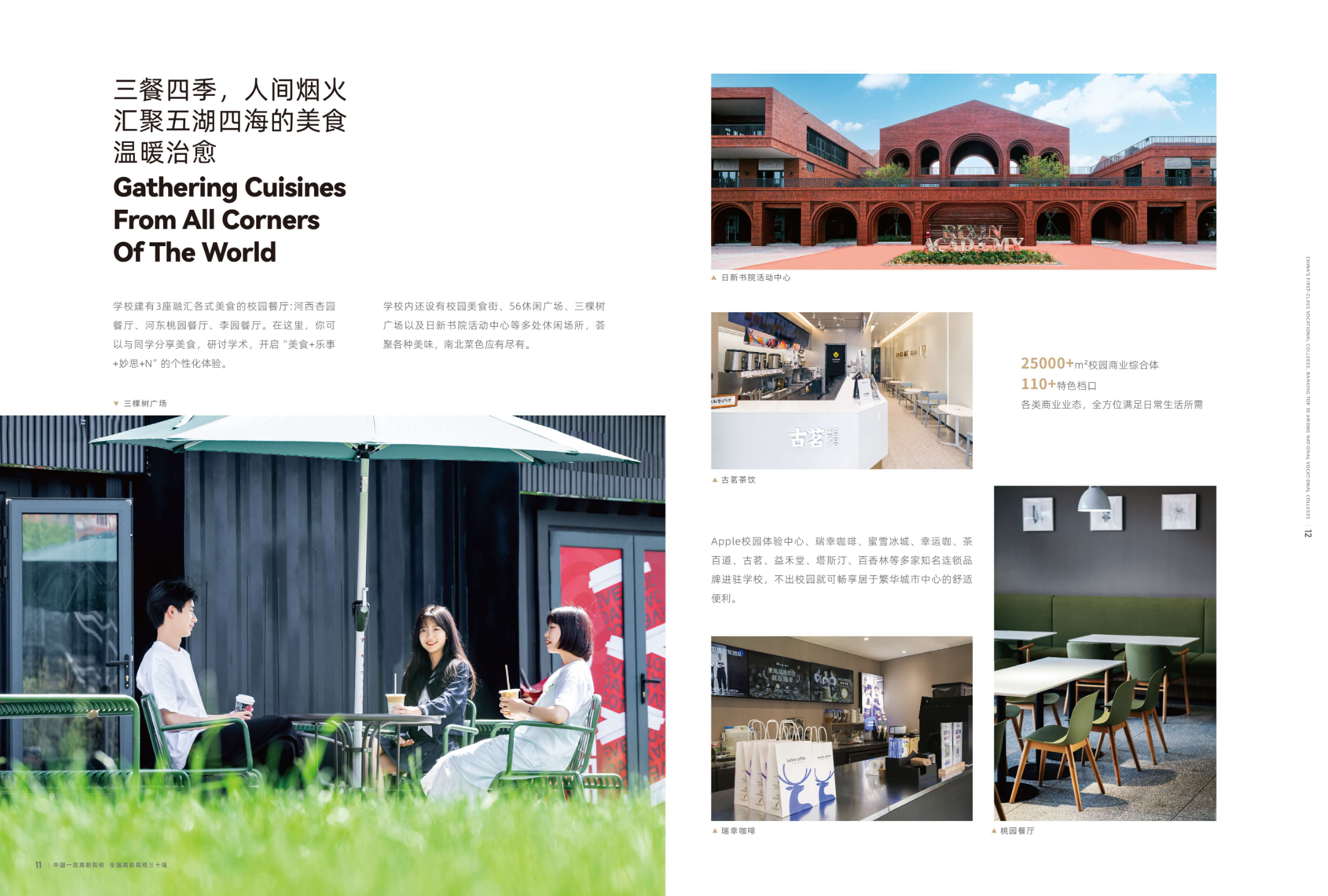 洛阳科技职业学院－2025年招生简章