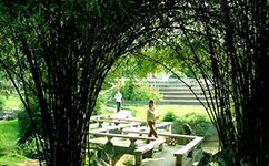 怀化学院 - 我的大学