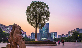 南华大学