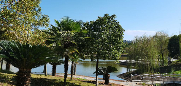 湖南工学院 - 最美大学