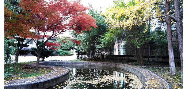 湖南财政经济学院 - 最美大学