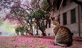 湖南财政经济学院