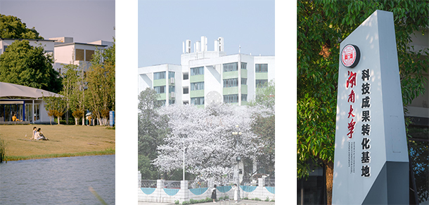湖南大学 - 最美大学