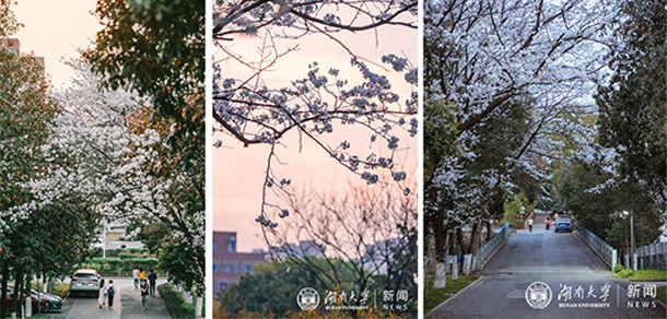 湖南大学 - 最美大学