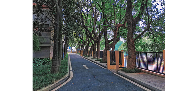 湖南师范大学树达学院 - 最美大学