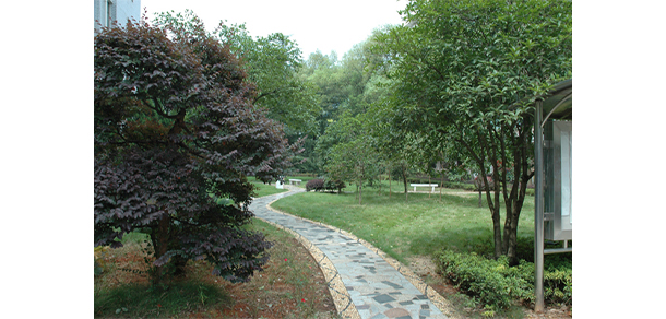 湖南师范大学树达学院 - 最美大学