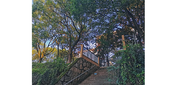 湖南师范大学树达学院 - 最美大学