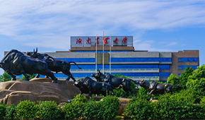 湖南农业大学东方科技学院