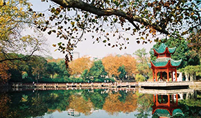 中南大学