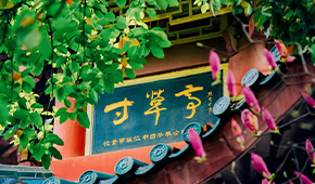 湖南农业大学