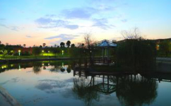 湖南交通职业技术学院 - 我的大学