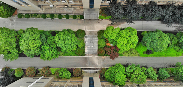湖南外贸职业学院 - 最美大学