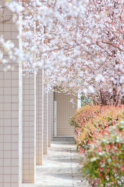 湖南外贸职业学院