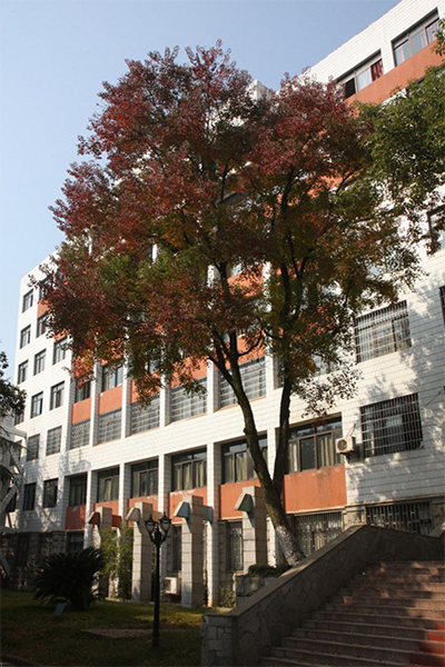 湖南城建职业技术学院