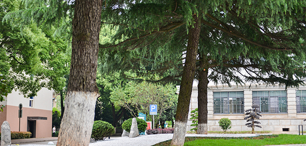 沙电力职业技术学院 - 最美大学
