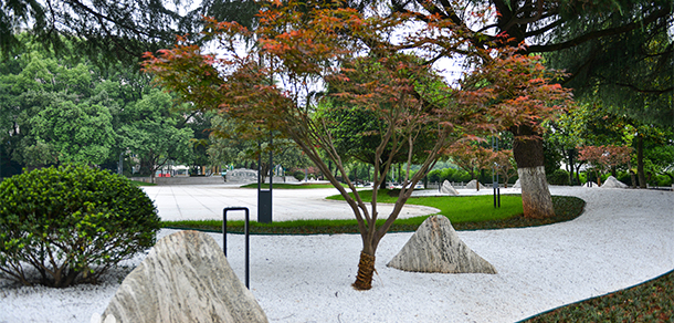 沙电力职业技术学院 - 最美大学