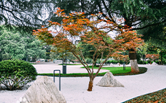 沙电力职业技术学院 - 我的大学