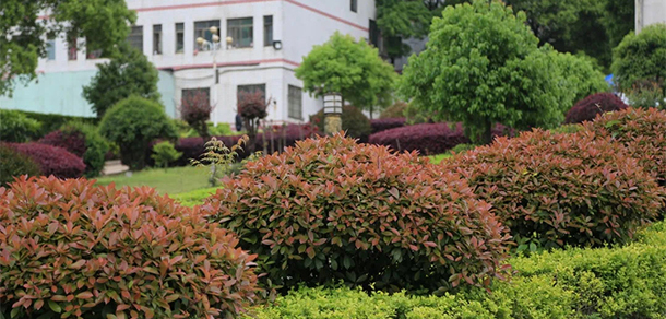 湖南现代物流职业技术学院 - 最美大学