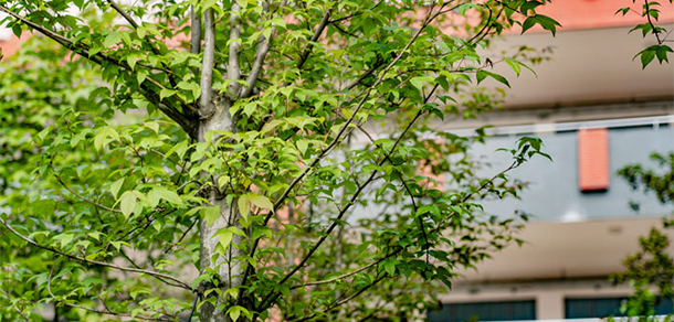 永州师范高等专科学校 - 最美大学