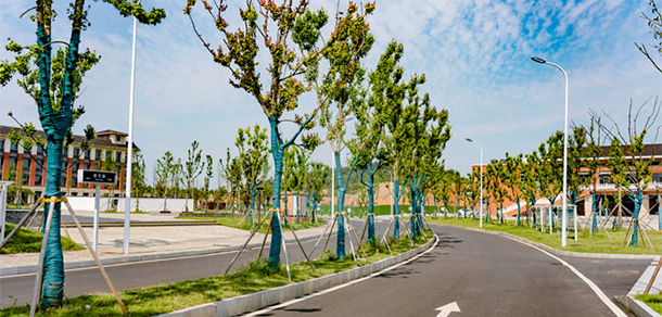 永州师范高等专科学校 - 最美大学