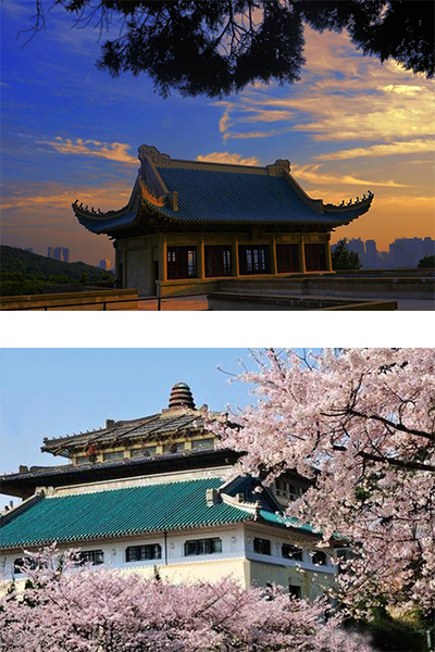 武汉大学
