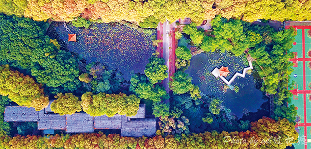 华中科技大学 - 最美大学