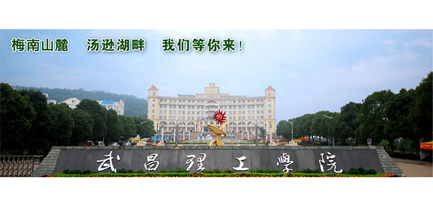 武昌理工学院 - 最美大学