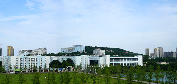 武昌理工学院 - 最美大学