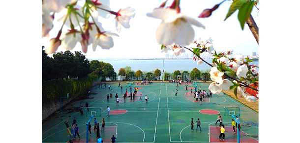 武昌理工学院 - 最美大学