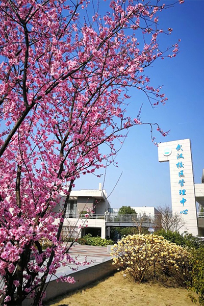 长江大学 - 流金岁月
