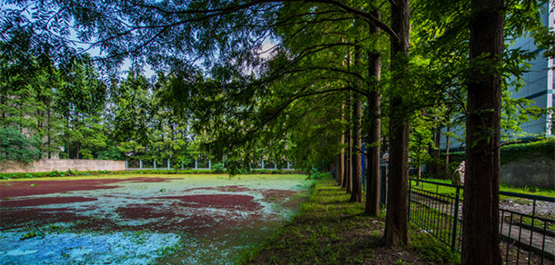 湖北大学知行学院 - 最美大学